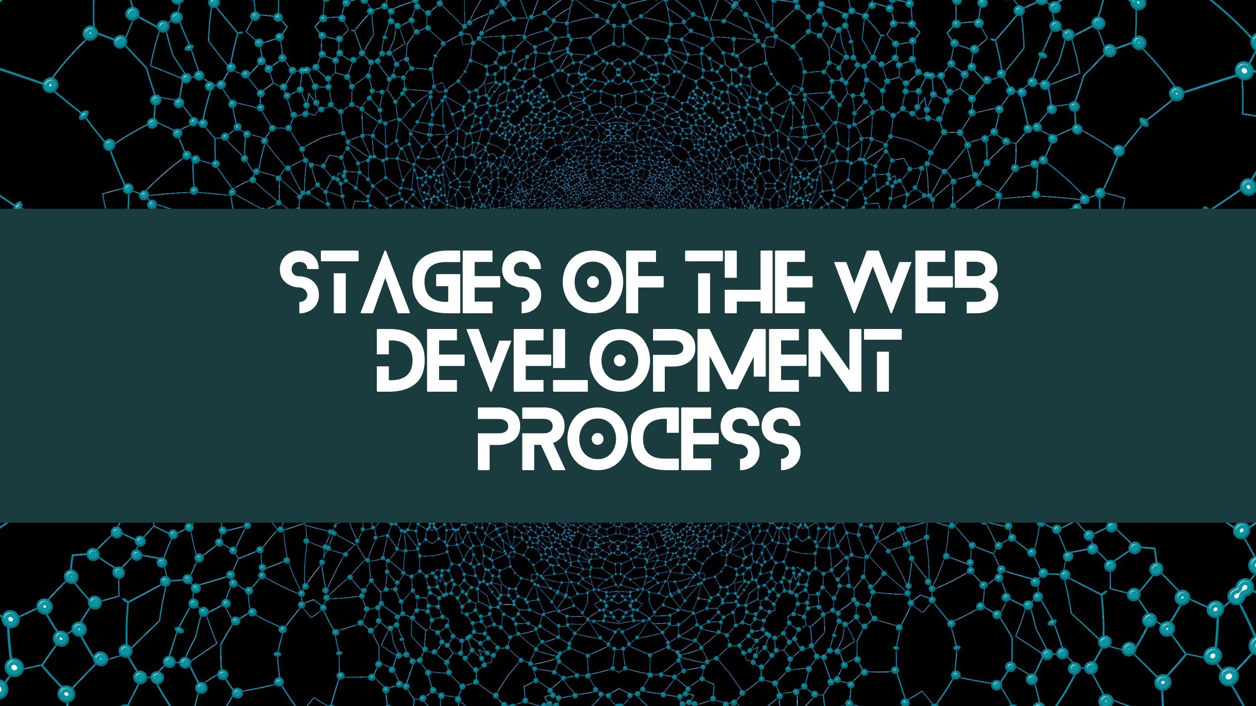 What are the different stages of the web development process?